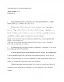 Organizacion del significado personal,caso layla