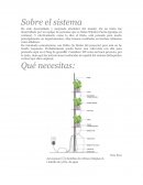 Sobre el sistema vertical
