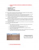 VISITA A UNA PARCELA DE ENSAYO DE LA SIEMBRA DE PAPA