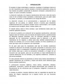 Disección de órganos reproductores (bovino)