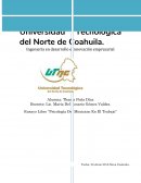 Psicología del mexicano en el trabajo