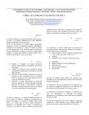 FIBRA DE CARBONO CON RESINA EPOXICA