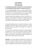 Análisis de los resultados, empresa ‘Pepa de aguacate’