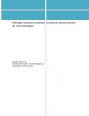 Patología asociada al sistema circulatorio desde el punto de vista histológico