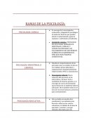 LAS RAMAS DE LA PSICOLOGÍA