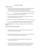 Constructivismo: Jean Piaget