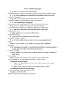 Guía: Medicoquirúrgico