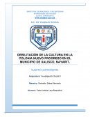 DEBILITACIÓN DE LA CULTURA EN LA COLONIA NUEVO PROGRESO EN EL MUNICIPIO DE XALISCO