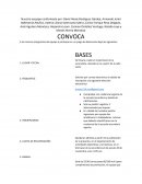 Modelo de convocatoria