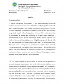 Ensayo mundo a sofia