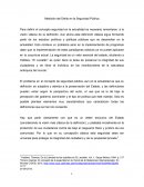 Medición del Delito en la Seguridad Pública