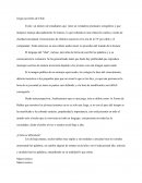 Jergas juveniles de Chile