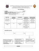 SOLUCION OLEOSA DE ARNICA. FORMULACION