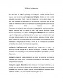 Ensayo de psicología. Inteligencias multiples