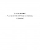 Plan de trabajo para un Comite Paritario