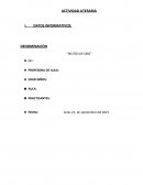 DENOMINACIÓN “RICITOS DE ORO”