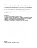 Actividad: Administración de Riesgos