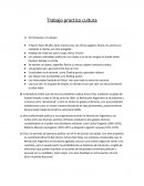 Trabajo practico cultura