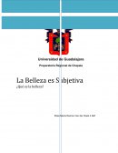 La Belleza es Subjetiva ¿Qué es la belleza?