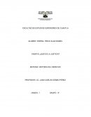 ENSAYO ¿QUÉ ES LA JUSTICIA?