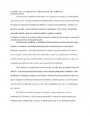 El papel de la familia en la protección del ambiente