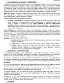 Resumen aristoteles pau