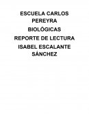 LA ESCUELA DEL MUNDO AL REVÉS