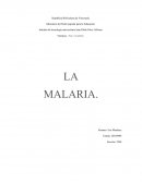 La malaria o paludismo