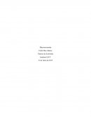 Macroeconomía: Tópicos de economía