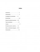 Manual de segma la empresa TRUPER S.A. DE C.V.