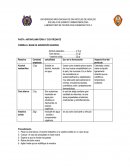 PASTA ANTIINFLAMATORIA Y CICATRIZANTE.FORMULACION