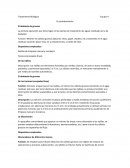 Tratamiento Biológico: El desbaste de gruesos