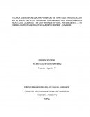 TÉCNICA DE BIORREMEDIACIÓN POR MEDIO DE TAPETES DE RHODOCOCCUS EN EL SUELO DEL POZO CARUPANA CONTAMINADO POR HIDROCARBUROS ALIFÁTICOS CLORADOS