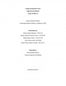 Trabajo final ing de software