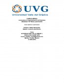 Comercio electrónico: Adquicisión compra online