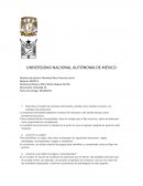 Describa el modelo de empresa dominante y señale cómo decide el precio y la cantidad de producción
