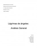 Lágrimas de ángeles: Análisis General