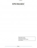 Análisis estratégico ONUBASEC