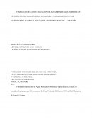 VIABILIDAD DE LA REUTILIZACION DE AGUAS RESIDUALES DOMESTICAS ESPECIFICAS (DUCHA, LAVADERO, LAVADORA Y LAVAMANOS) EN UNAS VIVIENDAS DEL BARRIO EL PORTAL DEL MUNICIPIO DE YOPAL - CASANARE