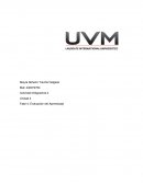 Unidad 4 Fase 4: Evaluación del Aprendizaje