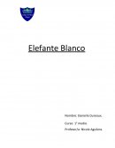 Elefante Blanco (Resumen)