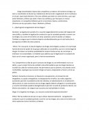 ¿Qué lograría la legalización de las drogas?