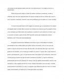 ANALISIS EN DIVERSOS ASPECTOS DE UNA SENTENCIA Y SU IMPACTO EN LA SOCIEDAD