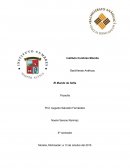 Resumen y opinión de primeros capítulos del Mundo de Sofía