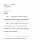 Macroambiente e investigación de mercados