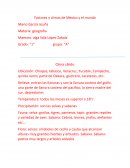Factores y climas de mexico y el mundo