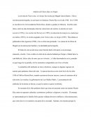 Análisis de Felices días, tío Sergio