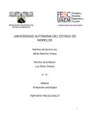 Psicología: REPORTE PSICOLÓGICO