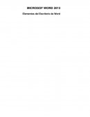 MANUAL DE WORD 2013
