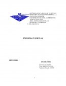 El aparato respiratorio comienza en la nariz y la boca y continúa por las demás vías respiratorias hasta los pulmones